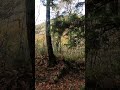giro enduronelle Terre di Mezzo dell'Umbria