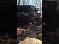 Climbing over a downed tree. #offroadconsulting #offroad #aoaa #jeep #jeepoffroad #offroading