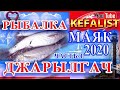 ДЖАРЫЛГАЧ -  РЫБАЛКА - КЕФАЛЬ - МАЯК 2020 !