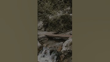 Can YOU solve this viral YouTube riddle? #quiz #shorts #riddleswithanswers