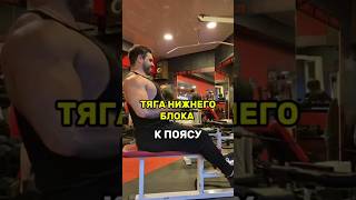 тяга нижнего блока к поясу #тяганижнегоблока #фитнес #тренировки #упражнение #спина