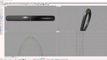 rhino 5.0 sweep history