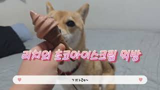 리치의 초코 아이스크림먹방