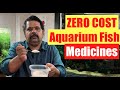 ZERO COST | Aquarium Fish | Aquarium Medications: How to Treat Sick Fish | diseases in aquarium fish