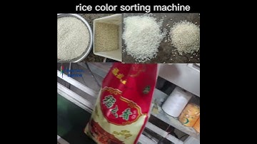 rice color sorting machine 2 chutes color sorter rice mill machine