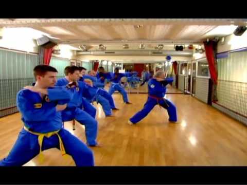 sequence 1 -Vovinam - Ecole du tigre bleu -enchainement de quyên et de combats