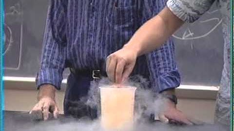 Conceptual Physics: Demo- Liquid Nitrogen and Cold
