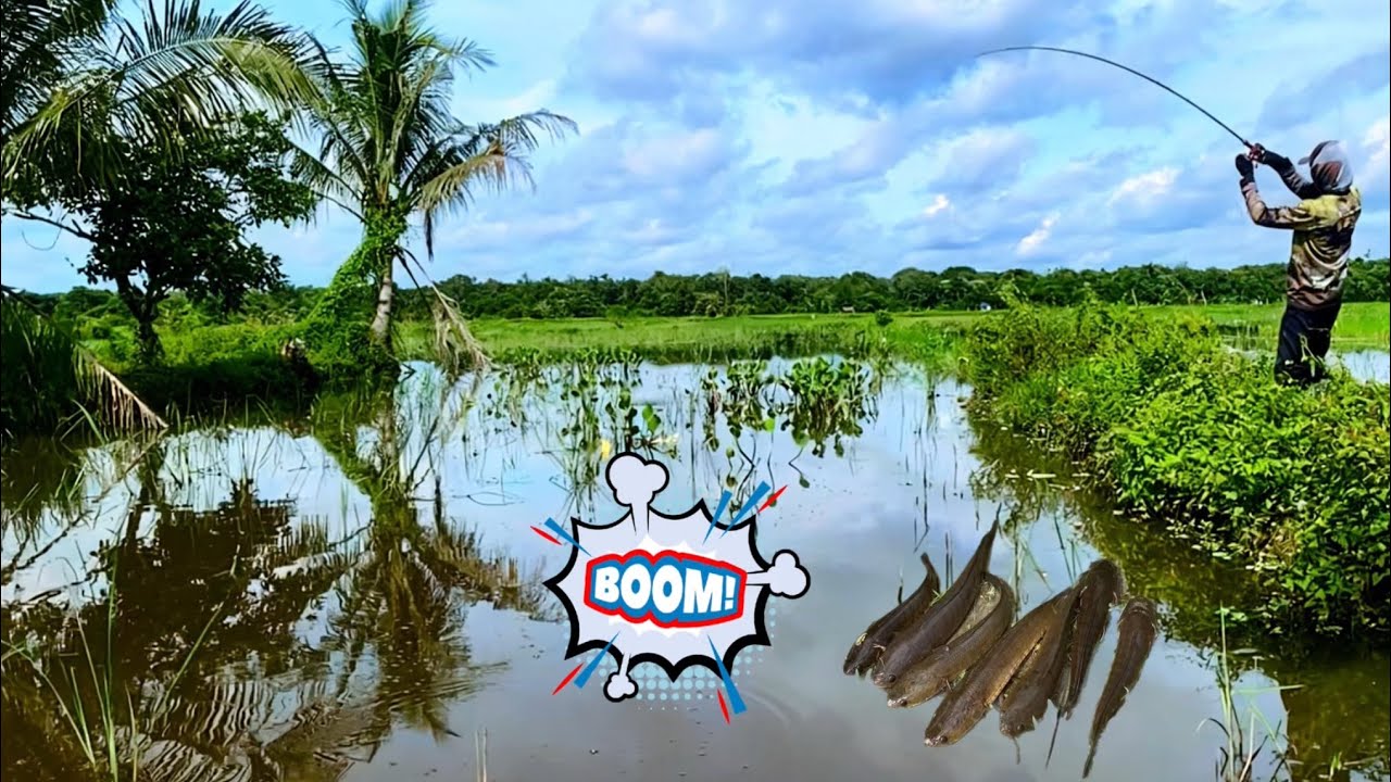 SAMBARAN YANG MENG…. Eeeee…KESALKAN!😢