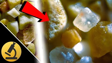 Sand Under the Microscope [1080p Full HD]