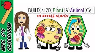 How to Build a Plant and Animal Cell in Google Slides - TPT Product Demo
