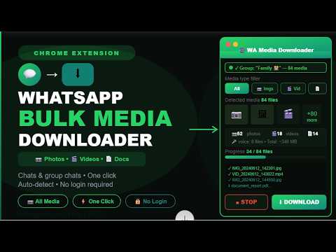 WA Media Downloader