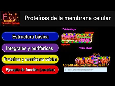 Video: ¿Pueden las proteínas moverse en la membrana celular?