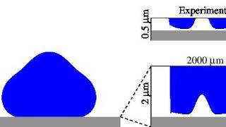 Simulation vs Experiment:  Bouncing of a Drop off a Wettable Solid (courtesy of Mykyta Chubynsky)