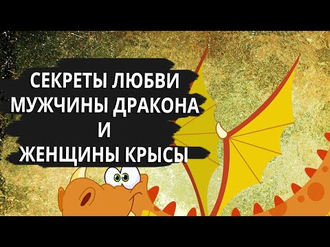 Совместимость мужчина Дракон и женщина Крыса