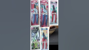 Kéo cắt tỉa cành Saboten dành cho anh chị em chơi bonsai thích tỉa hoa lá cánh vào những ngày tết.