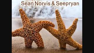 Sean Norvis & Seepryan - Sentimiento ft. Ane