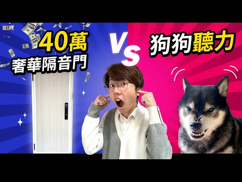 狗狗太吵！花40萬裝隔音門能阻隔他的聽力嗎？藍鯨玄關防火隔音門！【Howwork X 六指淵】