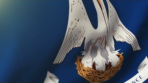 Louisiana Flag Waving In The Wind. Looping Sun Rises Style. Animation Loop Stock Animation