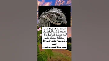 سبحان من خلق فسوى وقدر فهدى كلام من ذهب روائع الحكم 
