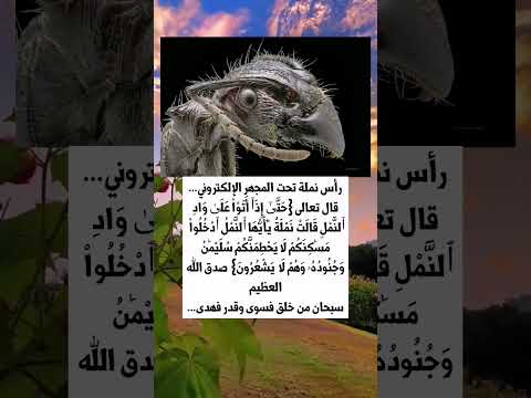 سبحان من خلق فسوى وقدر فهدى كلام من ذهب روائع الحكم