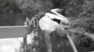 Pennypack River Jumping MikeG/Pszczolka ;]
