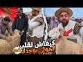 اليوم من سوق الخميس زمامرة مع اثمنة حولي العيد الأضحى بتاريخ 2026 4 30