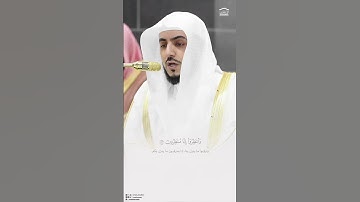الشيخ الوليد الشمسان من سورة هود