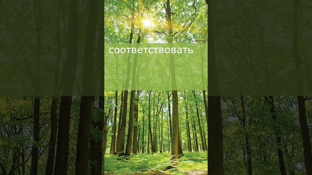 Переведи на русский быстрее меня 