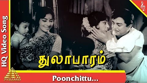 Poonchittu Video Song |Thulabaram Tamil Movie Songs | Sharadha| A V M Rajan| Pyramid Music