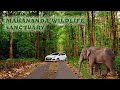 Mahananda wildlife sanctuary