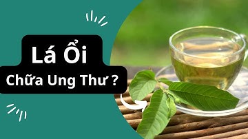 Lá Ổi chữa được Ung Thư ? Sự thật bất ngờ!