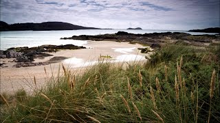 Wild Ireland Adventures - Meeting Fungie the Dolphin and Stargazing in Kerry