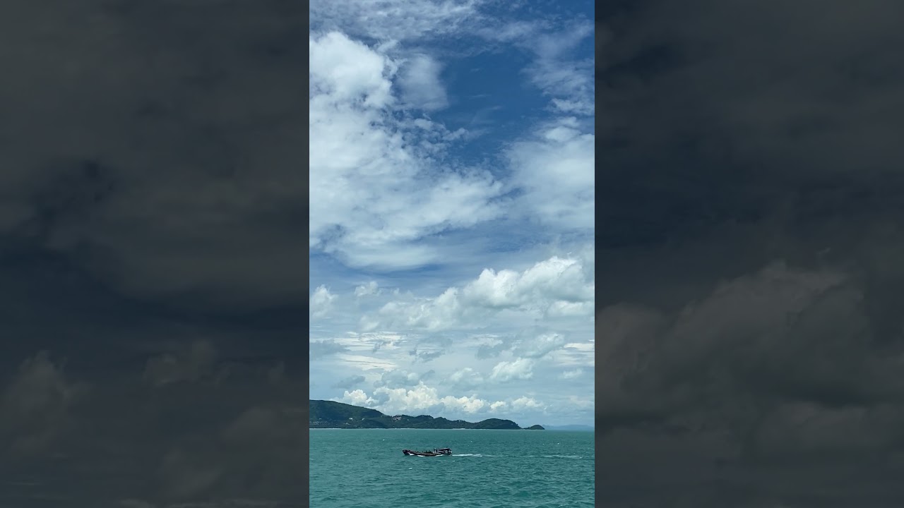 [Slow Motion] Rain Stock Footage | No Copyright Video | Royalty Free