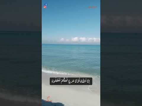 سورة يوسف من الآية 1 إلى الآية 5 