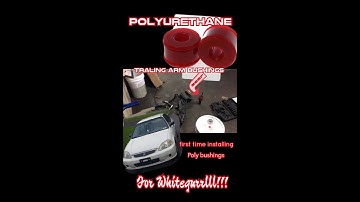 NEW Polyurethane Trailing arm bushings!!