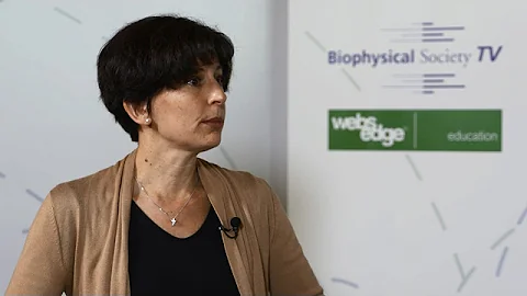 Cancer Cell Biophysics Symposium interview with Al...
