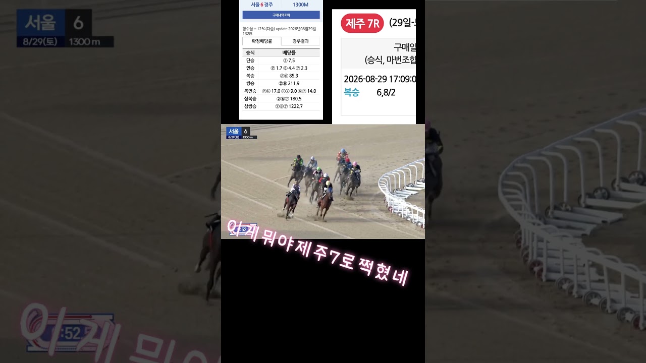 잘못찍었네 제주7경주로