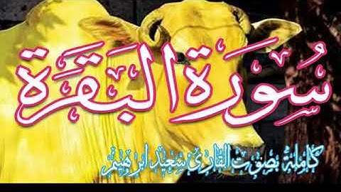 تلاوه هادئه تريح القلب❤والعقل تنسيك الدنيا وهمها ❤قرأن كريم❤