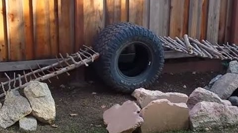 My Backyard RC Crawler Course First video with rocks ladders tires 2015 1080p