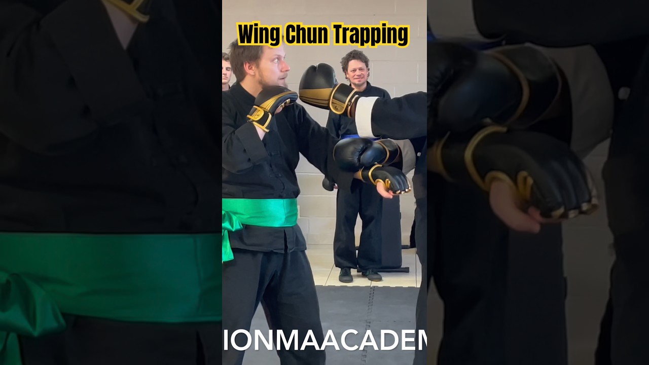 Lion Martial Arts Academy