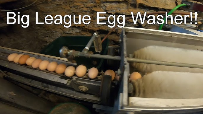 Discover This Egg Washer Machine That Cleans A Dozen Eggs A Minute.  Backyard Egg Farmers Can Save Valuable Time with this Egg Clea…