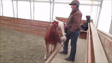 Teach A Horse To Stand At The Mounting Block