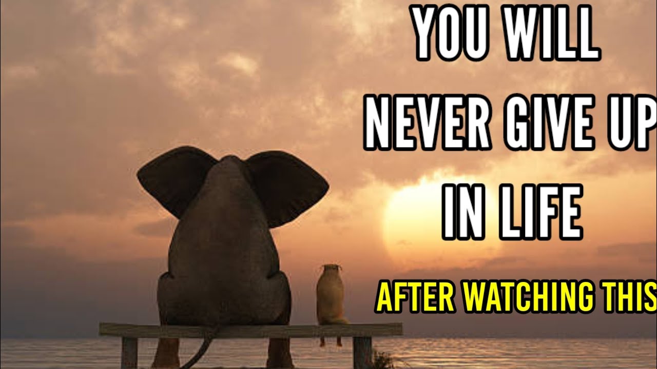 You Will Never Give Up In Life After Watching This||The Elephant And A ...
