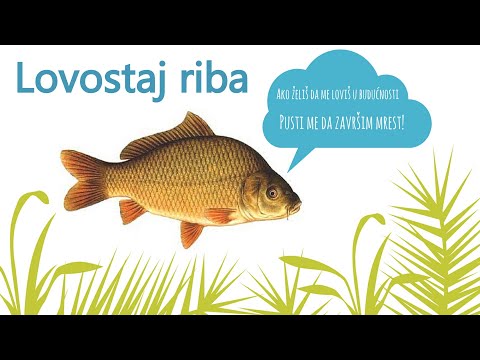 Video: Oceanske ribe: vrste, imena, opisi