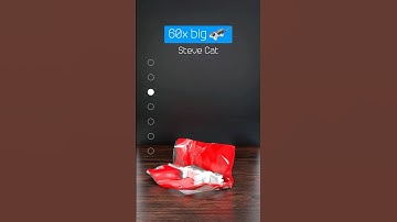 Satisfying Minecraft Cat vs 3D Cloth Simulation! #shorts #minecraft #blender #satisfying #3d