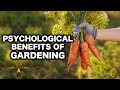 Gardening for Wellness How Planting Improves Mental Health