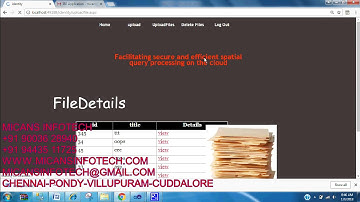 Facilitating Secure and Efficient Spatial Query Processing on the Cloud