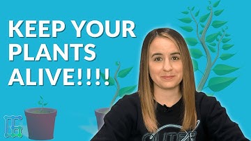 Soil Moisture Sensors Keep Your Plants Alive! | GIT TECH