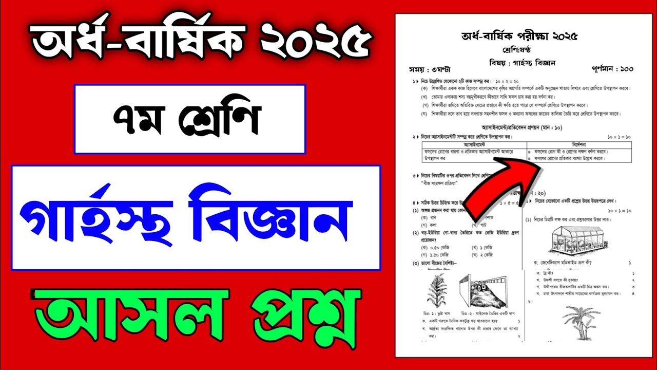 Katta xorozlar bilan jinsiy aloqada bolgan qizlar