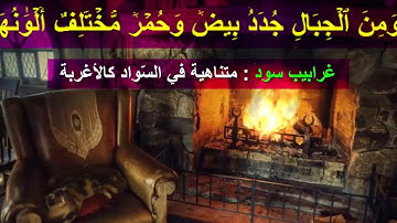 437  - (ما معنى :  غرابيب سود - الحَرُور ) سورة  فاطرٍ الْآيَةَ 19  - 30  (Translatorمترجم)
